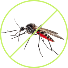 Advanced Pest Control Solutions