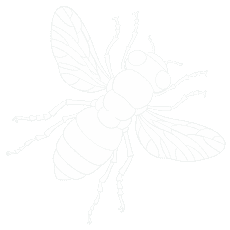 Advanced Pest Control Solutions