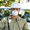 Advanced Pest Control Solutions