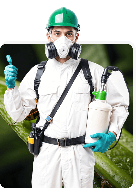 Advanced Pest Control Solutions