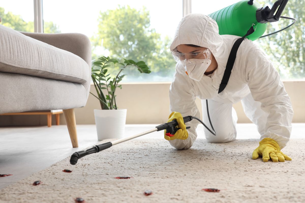 Same Day Pest Control Melbourne