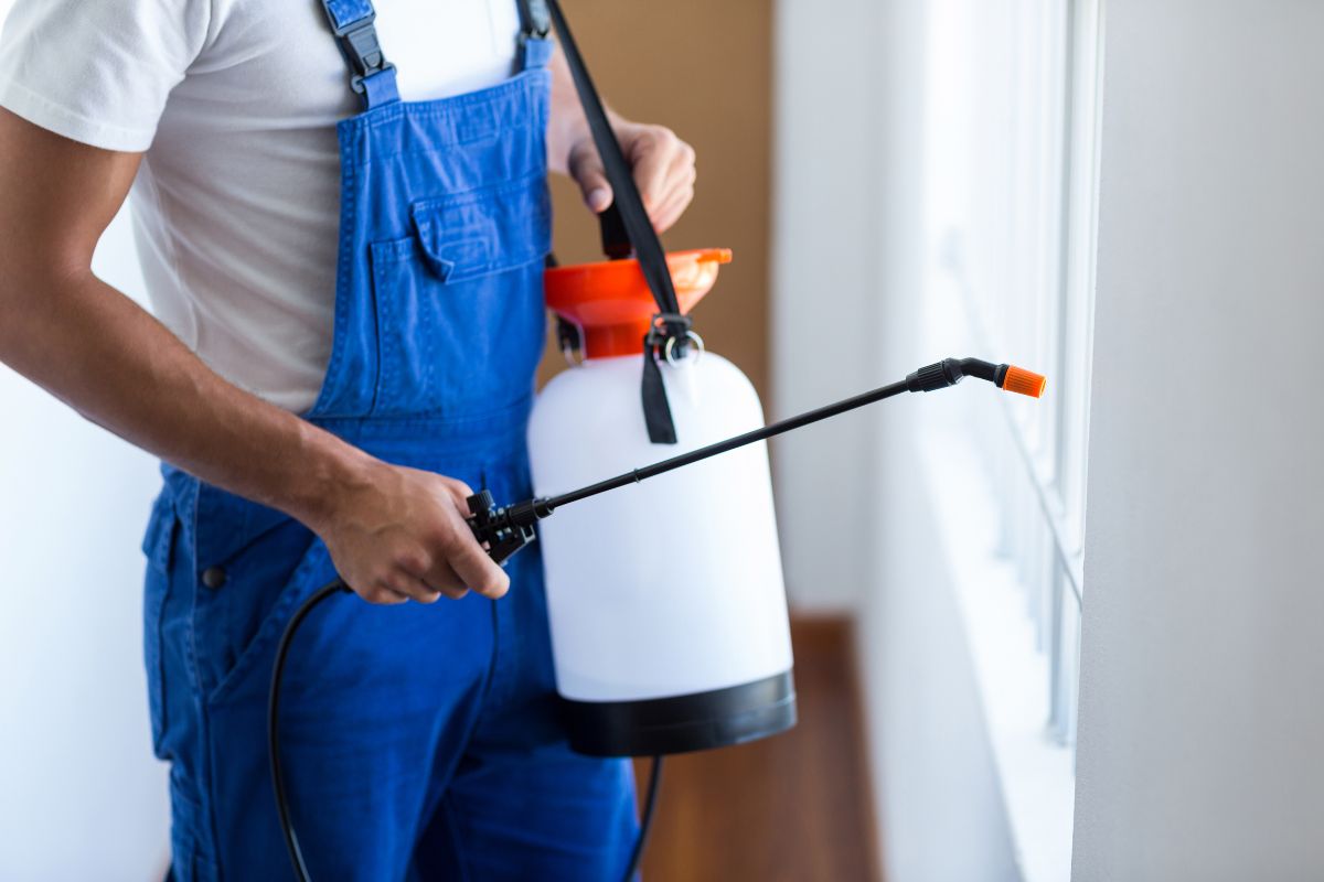 End of Lease Pest Control Melbourne